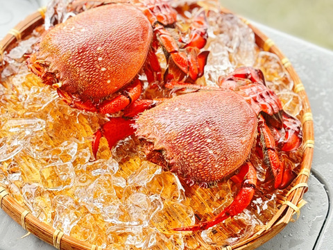 【冷凍】希少蟹‼️徳島宍喰産アサヒガニ！約1kg(2〜3匹)