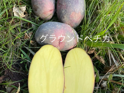自然栽培】グランドペチカ（デストロイヤー）10㎏（肥料・農薬不使用