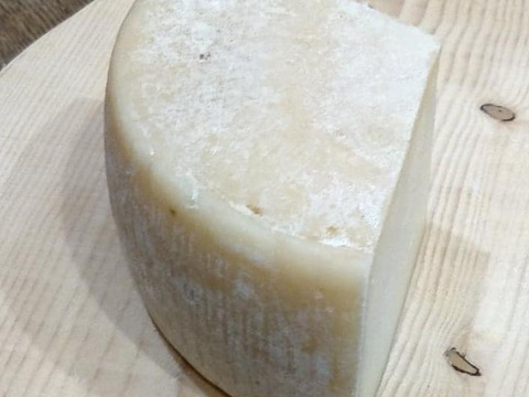 流通量０％ 笑）１００％北海道産羊乳チーズ！（ペコリーノ、アペリティフ）２点セット（石狩市・農家製）
