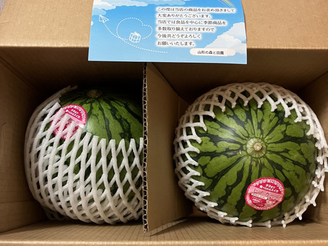 【予約受付】甘～い尾花沢小玉すいか 2~3Ｌピノガール2玉 5~6kg【小玉すいか】【夏ギフト】