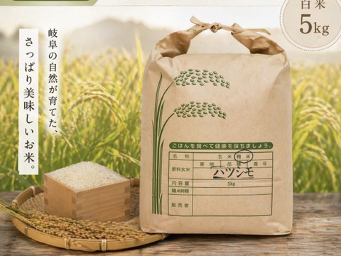 岐阜のお米！  ハツシモ   令和7年産　白米５㎏