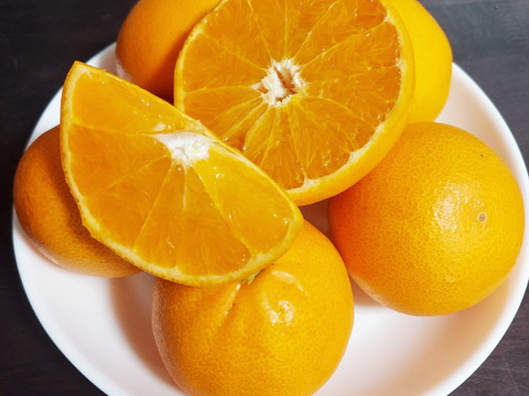 甘くて果汁たっぷりプレミアムなみかん「せとか」家庭用３キロ　ハウス栽培