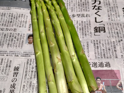 【朝採】 アスパラガス B品 L~2Lサイズ 1kg 【収穫当日発送】