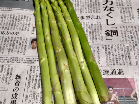 【春芽】朝採アスパラガス B品 L~2Lサイズ ４kg 【収穫当日発送】