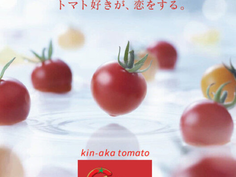 トマト好きが、恋をする。　1000ｇ　金赤トマト　ﾐﾆﾄﾏﾄ