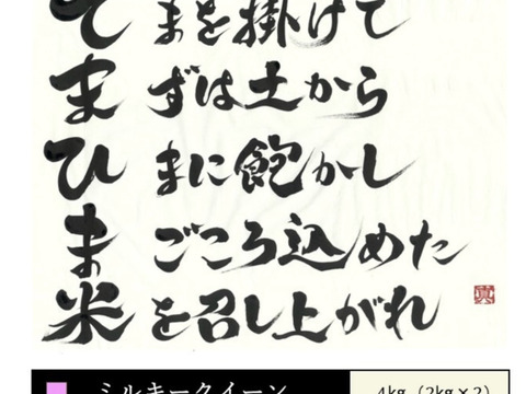 令和6年産　さめてもモチモチ『てまひま米』ミルキークイーン　精米4㎏(2kg×2）