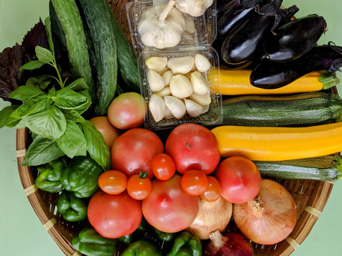 新鮮 満載 野菜セット５品目 80ｻｲｽﾞ 濃い味 有機肥料使用 茨城県産 食べチョク 農家 漁師の産直ネット通販 旬の食材を生産者直送