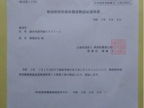 【新米】北限のゆうだい21　令和５年産　特別栽培米  白米