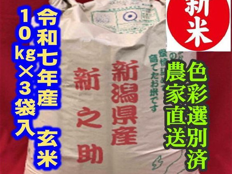 【福袋】　※玄米クラフト米袋※　大粒で　粒感がありしっかりとした食感　冷めても固くなりにくい新米　新潟県のお米のトップブランド　新之助（新潟県認証銘柄）　玄米10kg × 3個★農家直送★色彩選別済