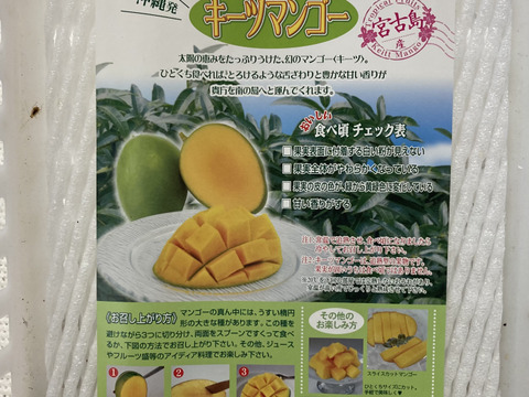 【数量限定】宮古島産キーツマンゴー1.5kg(2玉)7月後半～発送 化粧箱入り