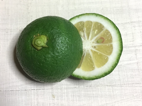 スズキねこ農園 農薬不使用 カボス 500g