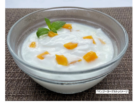 【敬老の日ギフト】無添加おやつ☆宮古島産マンゴーで作った☆ドライマンゴー