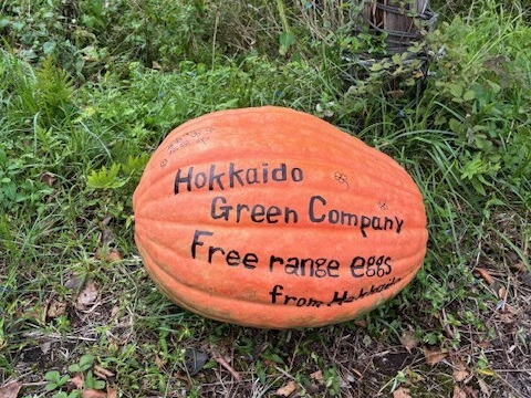 平飼いたまご 24個（6個×4パック）