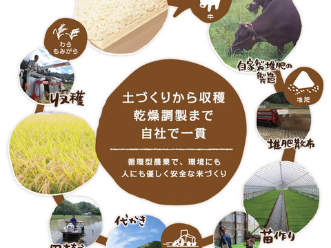 ミルキークイーン 精米4㎏(2㎏×2) 令和5年 広島県神石高原町産 もちもち食感がたまりません！