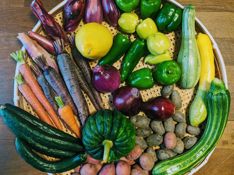 【8〜10品目】カラフル夏野菜ボリュームセット