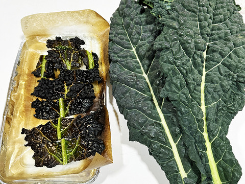 【冬の旬】葉キャベツ！カーボロネロ（総量500g）農薬・化学肥料不使用