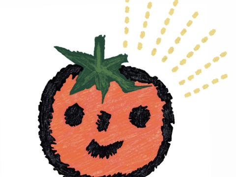 むぎゅっとがっしり！！べっぴん！濃旨フルーツトマト（おめかし梱包800g)