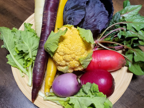 テーマは『カラフル&珍しい』野菜セット(野菜6種類入り)農薬・化学肥料不使用
