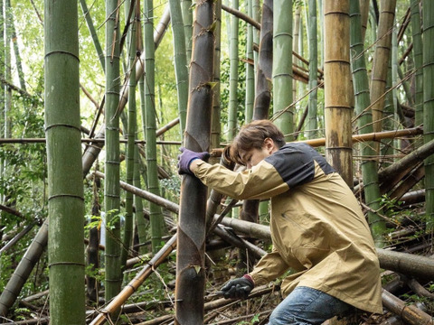 話題の国産メンマ！竹次郎の無限めんま醤油100g× 4p
