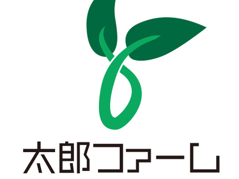 新鮮　野菜セット