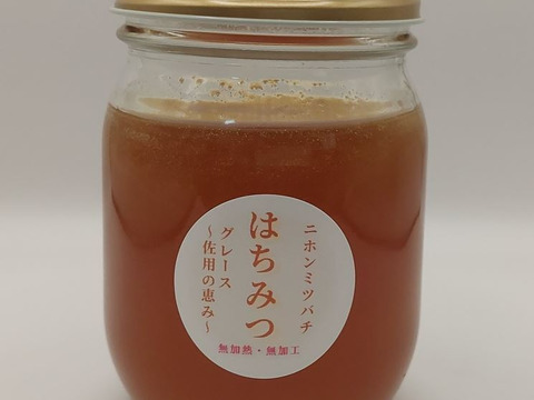 【伝えたい味】自然入居🐝ニホンミツバチの天然はちみつ（非加熱・手しぼり／360g）🍯