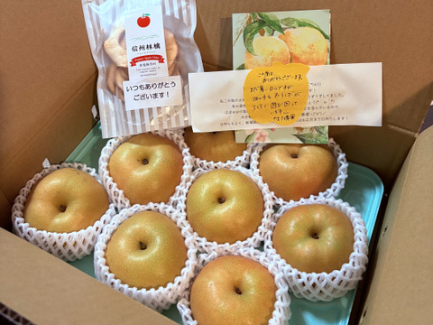 秋の夜長に…！ 南水 梨 （3kg）