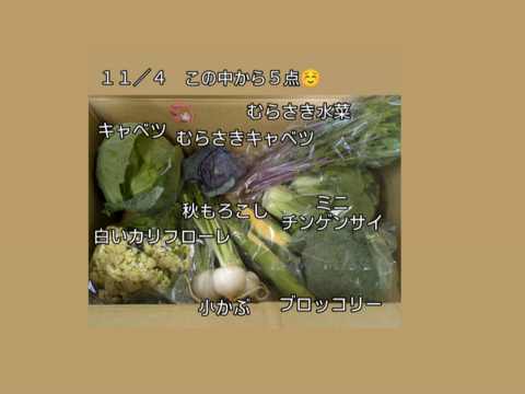 🎃🍁秋の野菜セット🍁🎃