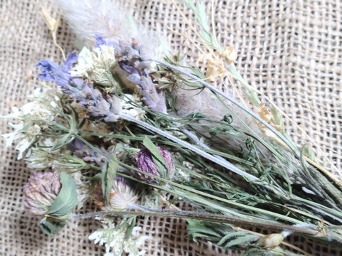 【単品用☆送料メール便360円】ドライフラワー②❀（オルレア・ラベンダー・チガヤ・ホソムギ・ムラサキツメクサ・コツブツメクサ）長さ約30cm（ひも部分含まず）