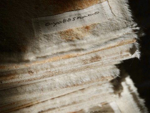 【冬ギフト】自然栽培あんぽ柿　桐箱＆柿渋染風呂敷　大（1kg）