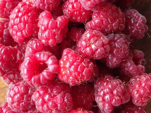 自然栽培米粉のパンケーキミックス　オリジナル・フランボワーズ（ラズベリー）・SAKURA&Green tea 3袋セット