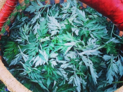 天然・乾燥蝦夷よもぎ・徳用サイズ 100g