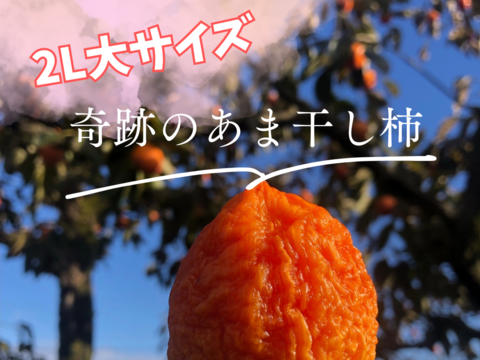 【冬ギフト】【お歳暮、贈答用に】2026年、奇跡のあま干し柿特大8個入り、熨斗対応可！