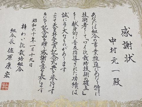 りんごグランプリ2025最高金賞1位🎊 サンふじ3キロ箱 A品B品ミックス 6玉から14玉程度 商品ID76092 長野県 信州 安曇野 リンゴ 幻 幻のリンゴ 予約 希少 旬 甘い