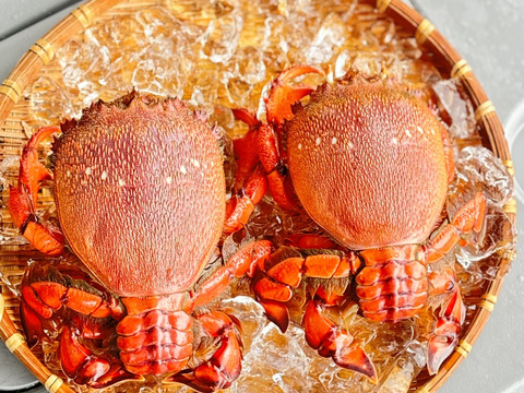 【冷凍】希少蟹‼️徳島宍喰産アサヒガニ！約1kg(2〜3匹)