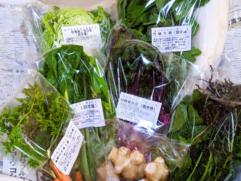 ＜自然栽培・固定種の彩り野菜BOX　Mサイズ６品～７品＋お楽しみ袋＞肥料不使用、農薬も不使用で、きめ細かな食感とやさしい甘さ、生命力のある≪野菜・果樹たち≫を八ヶ岳南麓よりお届けします