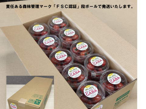 🍅血圧が高めの方へ！☀生鮮ミニトマトで日本初の【機能性表示食品】野菜で元気「GABAミニトマト」　容量：2.6kg（130gパック×20個入）