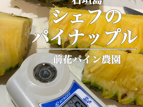 【石垣島直送】手でポコットちぎっても食べらる。濃厚ポコットパイン 3kg（3〜4玉）
