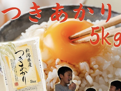 新潟県産　お米 つきあかり  5キロ  白米  令和4年産　お米　(62)