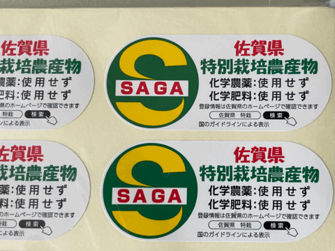 【令和６年産新米】香りが自慢の夢しずく白米（2キロ✖️2袋）