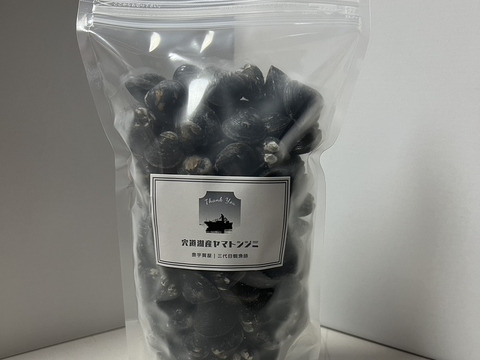 【いよいよシーズン到来】宍道湖産ヤマトシジミ・冷凍1kg（お任せサイズ）