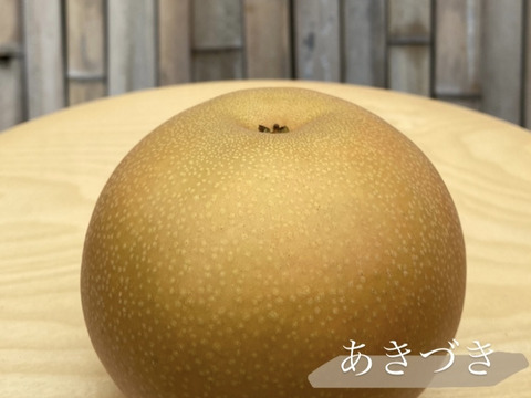 千葉県　松戸市産　甚左衛門の梨【あきづき】　約5キロ　9〜12玉
