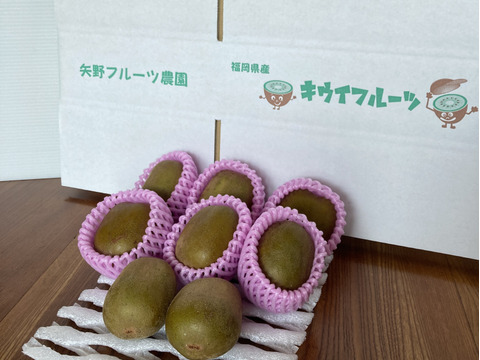 【贈答にも】とろける食感！驚くほど甘い！レッドキウイ　12玉　1020g以上　追熟済み