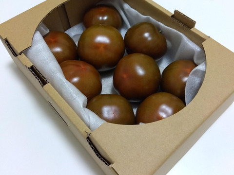 果肉たっぷり！中玉トマト「クマト」(800グラム)