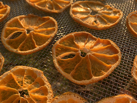 【訳あり】砂糖不使用なのに甘〜い！ドライみかん 100g〈農薬・化学肥料不使用〉