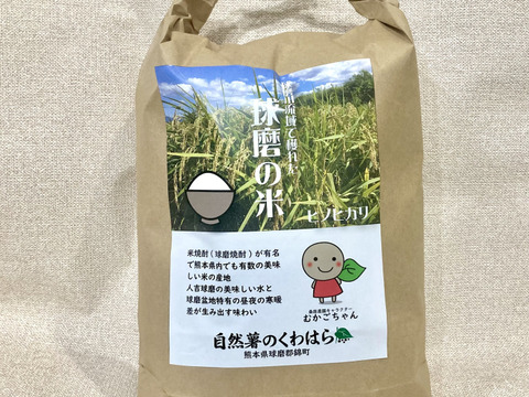 (熊本)【令和7年産】冷めても美味いご飯！球磨産 ヒノヒカリ 球磨川流域で育った米