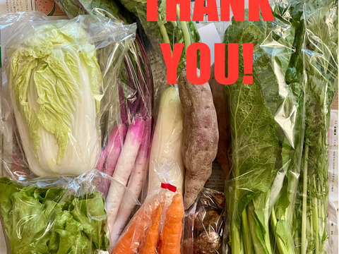 根っこ農園　自然風味お野菜セット