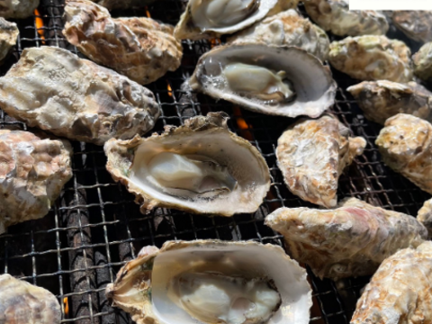 【生牡蠣】【生食用】三重県産 殻付き 浦村かき M～Lサイズ100個入り（10～20人前、約11kg） 貝類 海鮮 BBQ お歳暮 バーベキュー 母の日父の日【冬ギフト】【生で食べれる美味い牡蠣】