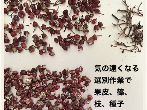 新発売‼️京都.美山産 極上の香りと痺れ !赤山椒 コンパクトサイズ"美山のルビー"ミル容器入と詰替用のセット