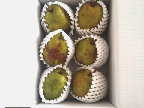 食べきりサイズの『ラ・フランス規格外』🍐お試しBOX　ご家庭用４～６個入り