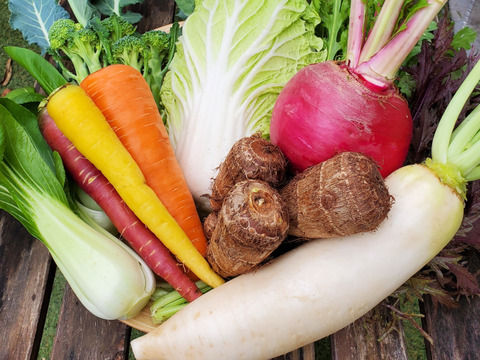 テーマは『優しさ』旬の野菜セット～春～(野菜8種類)農薬・化学肥料不使用